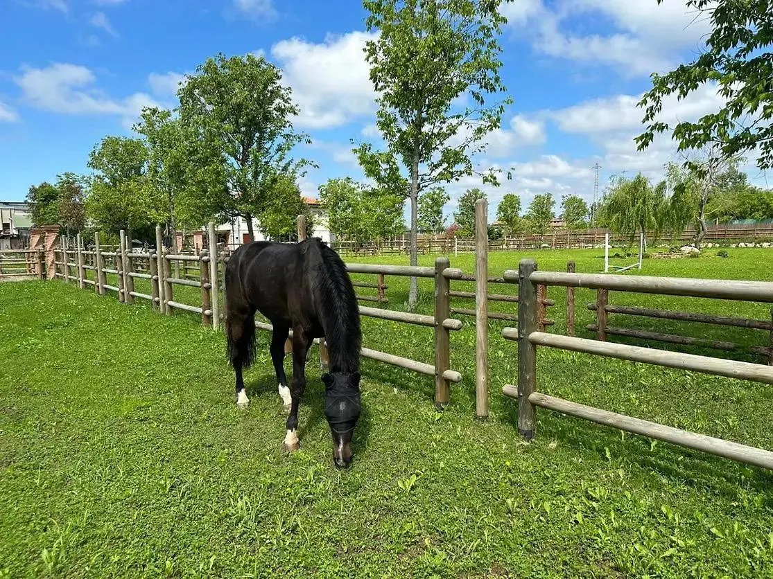 Tenuta Oasi Del Cavallo ソンマカンパーニャ 0*,  イタリア